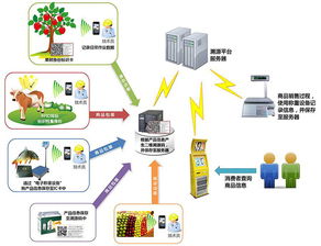 物聯(lián)網技術賦能產業(yè)升級 防偽、食品安全與新材料研發(fā)的革新應用